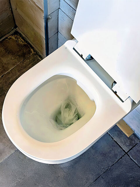 Blocked Toilets